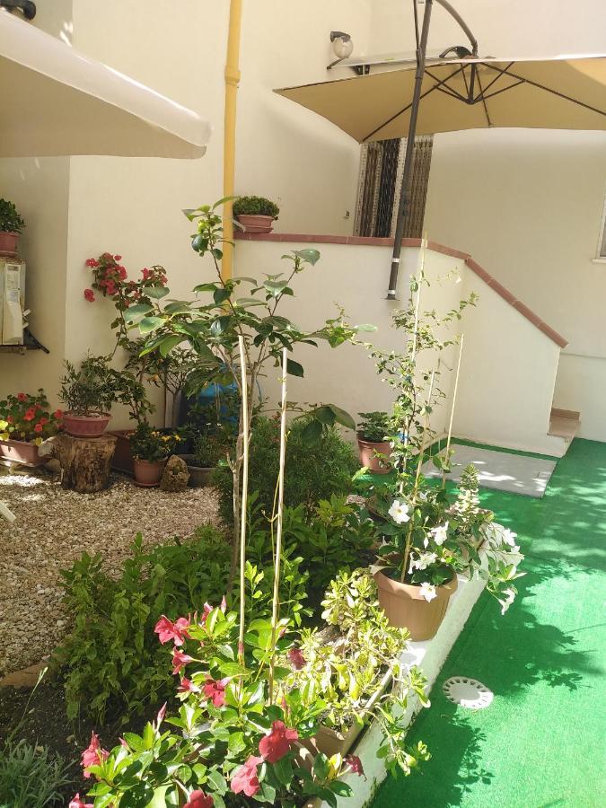 Flowered House With Garden 알게로 외부 사진